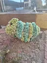 20250217_164919.webp